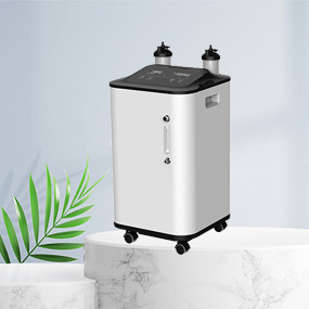نمایشگر 10 اینچی جریان بزرگ ژنراتور اکسیژن 10 لیتری خانگی صدای کم